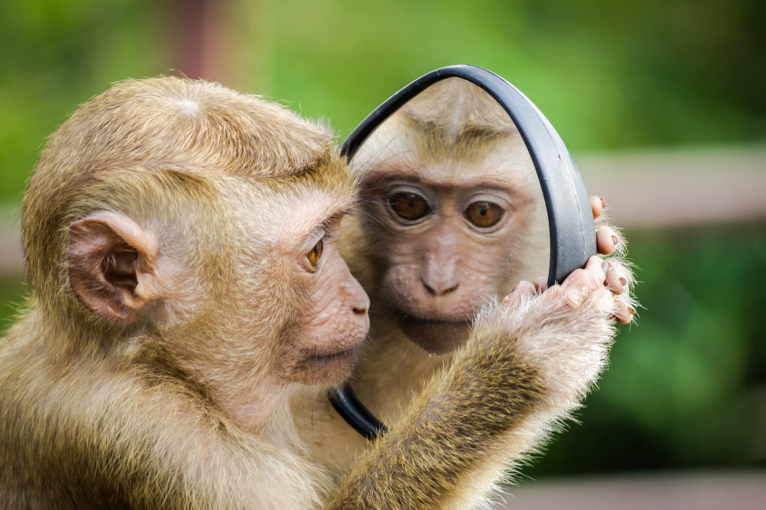 Unlocking Potential: The Foundation of Success – Self-Reflection