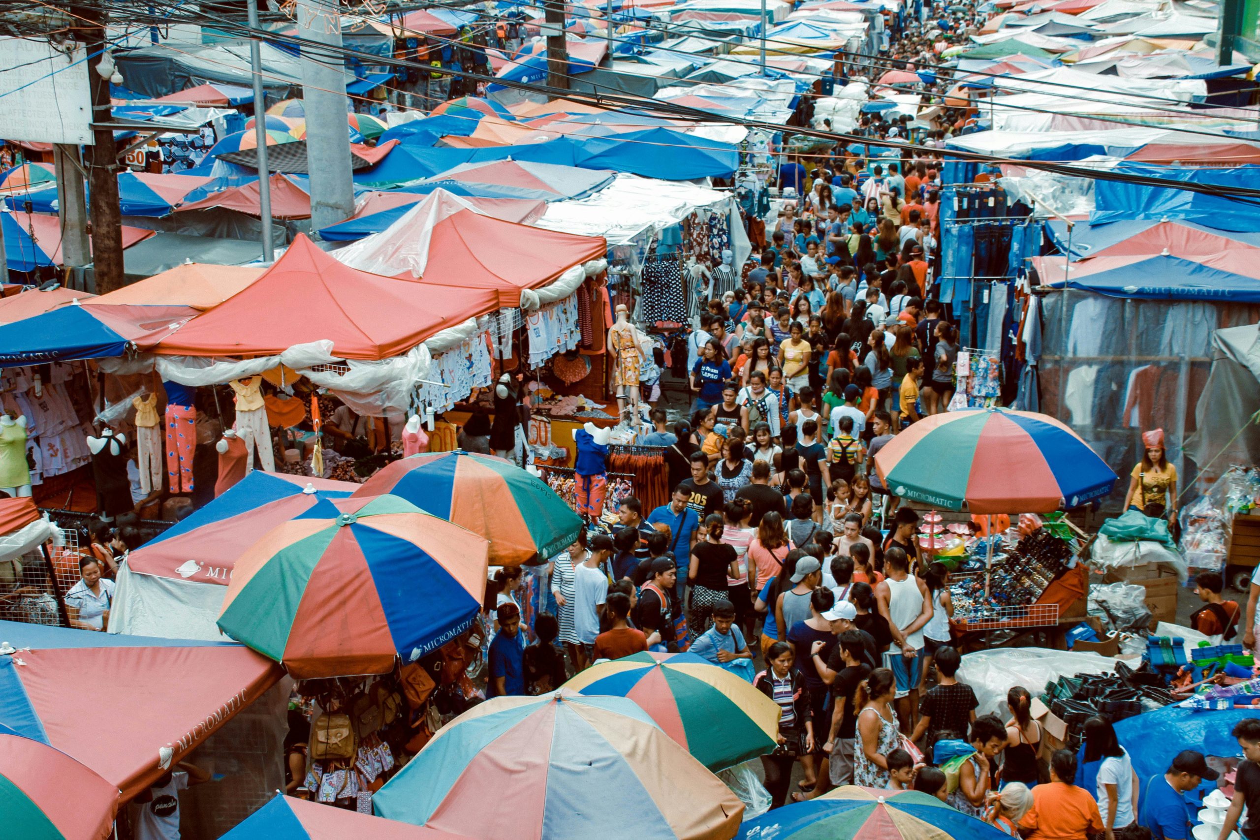 Navigating Success: Assessing Market Demand